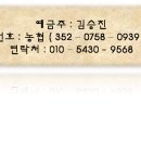 동강솔펜션 이미지