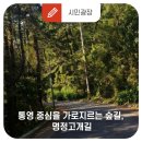 명정고개길 이미지