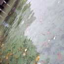 한국폴리텍 특성화대학 로봇캠퍼스 이미지