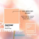 쎄븐헤어월드2호점