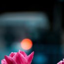 안산유도체육관-월피점 이미지