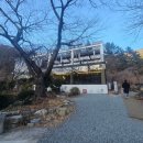 길냥이와 함께하는 | 우디브룩 카페 후기｜부산 사상구 학장동 감성 카페 + 길냥이 힐링