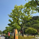 국립 부산 과학관 상설전시관 실내 가볼만한 곳 입장료 시간표 주차장 체험 후기