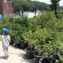 오빌농장 이미지