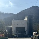 앵무동 | 광주 근교 화순 숲속 맛집 텍사스바베큐 솔직후기