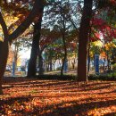 스포원파크 이미지