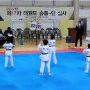 용인대 청무태권도 체육관 이미지