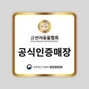 드림독 강아지분양 안심분양센터 인천점 | 강아지분양 버디독 안심분양센터 인천점에 다녀왔어요.