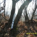 월리농장 이미지