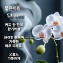 좋은날 Daum카페