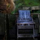 봉평메밀밭 이미지