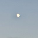 비치파크모텔 이미지