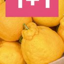 늘푸른축산 이미지