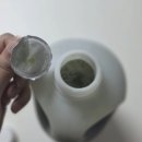 청포도 | 홈카페 시럽 추천, 카페그린트리 청포도 베이스 솔직 후기