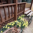 개나리펜션 이미지