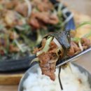 수리산두꺼비 이미지