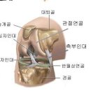 기록에 집착하지말고 즐기면서 달리시길 이미지