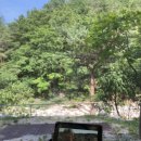 진고개계곡야영장 이미지