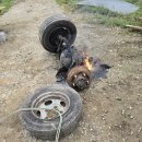 완전농장 이미지