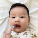 비프렌즈 | 실리콘칫솔 아기양치질 베이비클라우드 2종 써본 후기