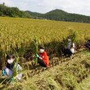 군내북초등학교 이미지
