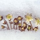 강마을공원 이미지