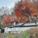 여울바림 이미지