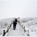상평동 한일병원 앞 이미지