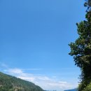 메이플 베이 (maple bay) 이미지