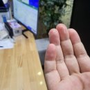 양원주동물병원 이미지