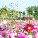 오감만족 이미지