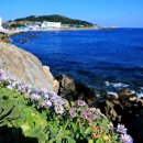 강서푸른터 이미지