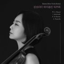 바이올린 이미지