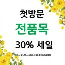 다홍헤어 이미지
