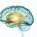 기억과 기억 이미지