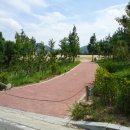 부주산국제클라이밍센터 이미지