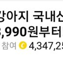 헬로 마이펫 이미지