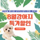 미유펫대구강아지고양이도그플러스동물병원