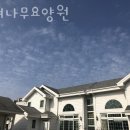 칠전서2길 | 춘천요양원 종려나무요양원 정보소개