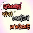 내맘대로여행 이미지
