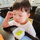 쌍둥이청과 이미지