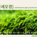 18주(2/12-목)＜반복＞"미쉬파팀(판결들,법규들)"-출애굽기 21:1~24:18(모세오경 읽기와 해설) 이미지