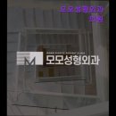 모모의원 | [서울 강남 성형외과 추천] 모모성형외과의원 모발이식 전문 강남 성형외과