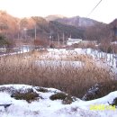 신덕초교 이미지