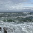 양양 오션비치 | 양양호텔/낙산비치호텔 오션뷰 1박2일 내돈내산 후기 / 오션뷰 꿀팁