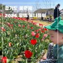 오성축산물 | [평택] 경기도 가볼만한 꽃축제 2026평택 꽃나들이