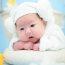 애니 스튜디오 이미지