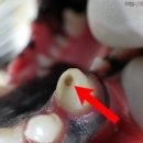 서울메이치과병원 이미지