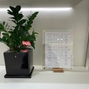 신원메디 | [송파] 잠실경락 맛집 - '가인미가 잠실새내역점' 얼굴 경락 가격 및 후기