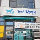 헤세드동물병원 이미지